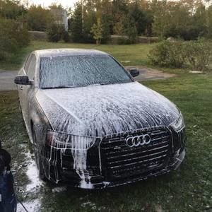 Meet your Posher, Marlon